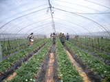2012 march 11 (29)