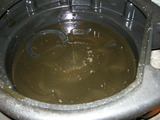 DSCN6016