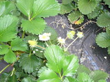 2010 march 26 012
