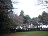 2010 march 26 019
