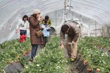 2012 march 11 (51)