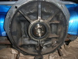 RIMG2495