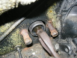 DSCN0117