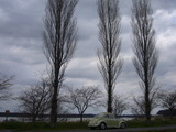 2010 march 26 001