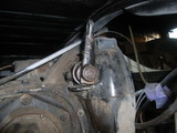 RIMG2239