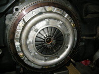 DSCN6782