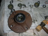 RIMG4687