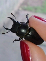7c7191e4.jpg