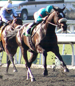 521px-Zenyatta2009LadySecret