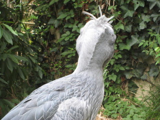 IMG_2395