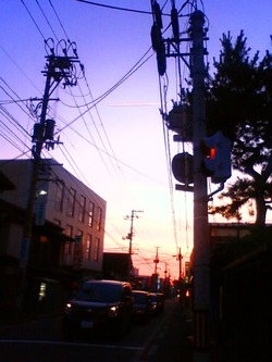 NEC_0741