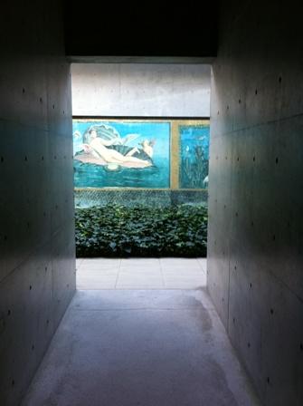 IMG_0518