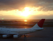 3338a88c.jpg