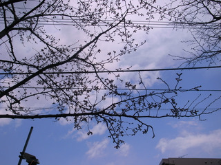 R0016918