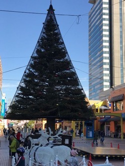 IMG_7266