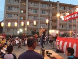 IMG_3241