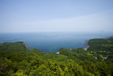 鳥羽　海
