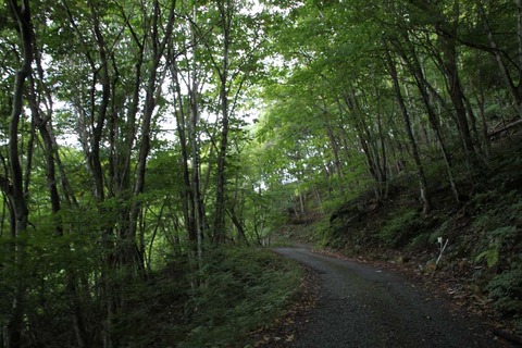 IMG_2817-00795