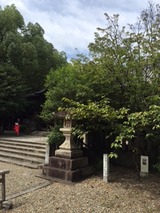 733f3049.jpg