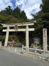 c0238223.jpg