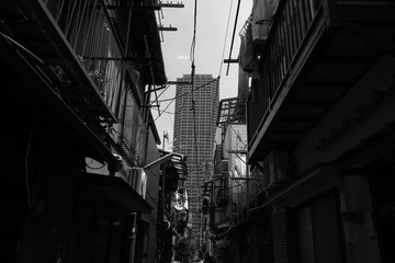 DSC00109