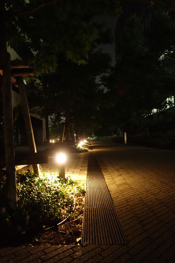 DSC00142