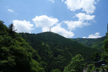 DSC01661