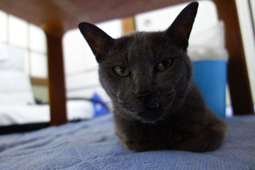 DSC00003