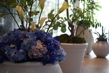 DSC00103