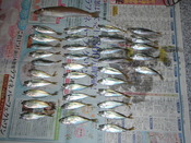 平成24年5月20日釣果