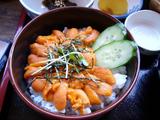 純の番屋ウニ丼