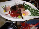 ウトロそい