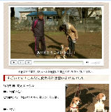 犬のしつけ藤井04