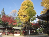 風景 010