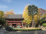 風景 007