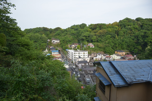 DSC_0728