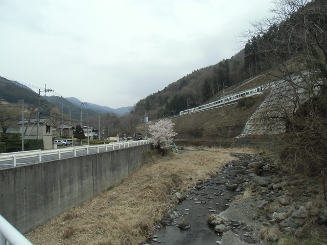CIMG1329