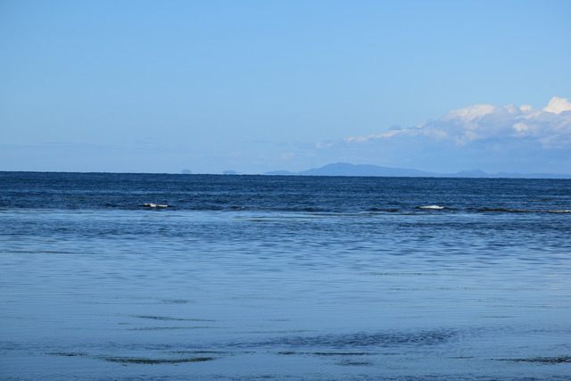 DSC_0161