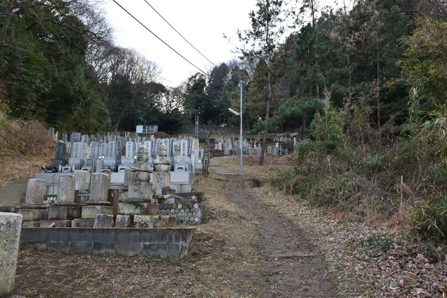 DSC_0149_compressed