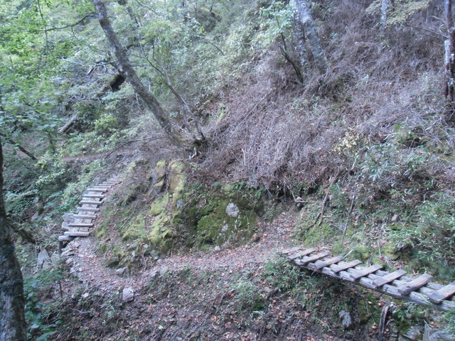 CIMG0592