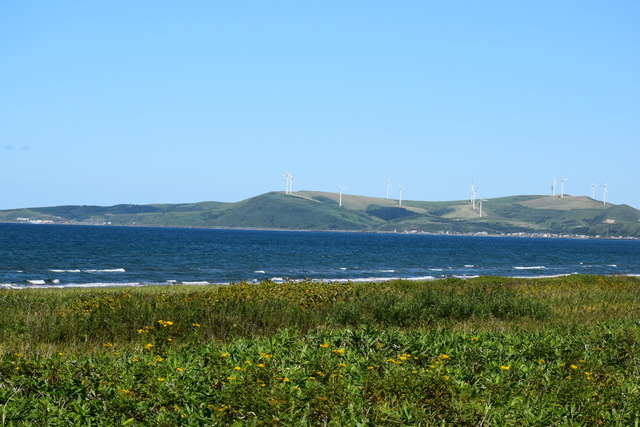 DSC_0136