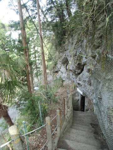 CIMG1193