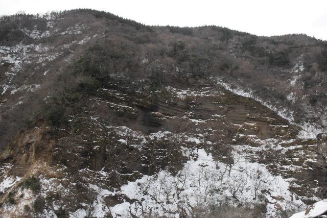 NIKON D53002573