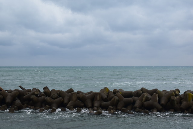 NIKON D53002596