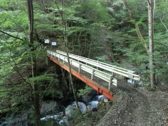 CIMG0571