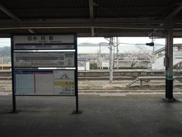 CIMG1154