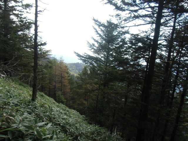 CIMG0593