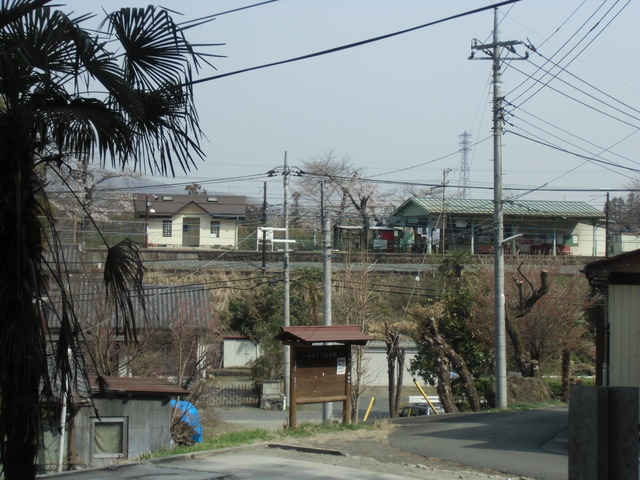 CIMG1186