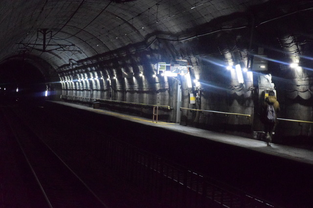 NIKON D53001003