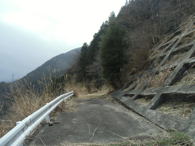 CIMG1306
